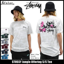 STUSSY Jungle Offering S/S Tee 1903578画像