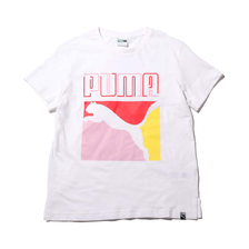 PUMA GRAPHICS REG TRIPLE COL TEE PUMA WHITE 579081-02画像