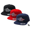 DREAM TEAM BADASS SNAPBACK画像