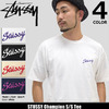 STUSSY Champion S/S Tee 1904064画像