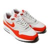 NIKE WMNS AIR MAX 1 VAST GREY/HABANERO RED 319986-035画像