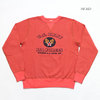 Buzz Rickson's SET-IN CREW SWEAT "U.S.ARMY AIR FORCES" BR68084画像