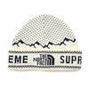 Supreme × THE NORTH FACE 18FW Fold Beanie WHITE画像