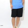 STUSSY OG Brushed Beach Short 112231画像