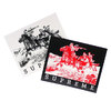 Supreme 19SS Riders Sticker画像