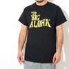 PROJECT SR'ES Big Aloha S/S Tee ST00264画像