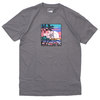 THE NORTH FACE HAWAII BOX TEE GREY画像