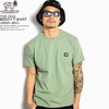 The Endless Summer TES DOG BEACH T-SHIRT -GREEN GRAY- FH-9574369画像