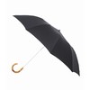 FOX UMBRELLAS ELESCOPIC UMBLELLA-WHANGHEE FXTL4WH0001画像