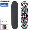 ELEMENT Leopard Party 7.75in BA027-428/COLG3LPR画像