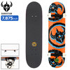 Darkstar Dissent FP Premium 7.875in 10512309画像