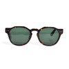 SABRE RIVIERA -TORTOISE/GREEN- SS20-517T-GRN画像