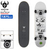 Darkstar Skateboards × FELIX THE CAT News FP 7.875in 10512319画像