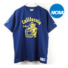 NCAA メンズ Tシャツ CALIFORNIA KC7006画像