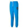 PUMA PIVOT PANTS SPECIAL Ibiza Blue 531920-01画像