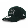 NEW ERA HAWAII RAINBOW WARRIORS 9TWENTY STRAPBACK CAP GREEN NR70530092画像