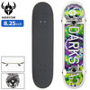 Darkstar Skateboards Timeworks FP 8.25in 10512202画像