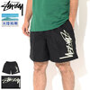 STUSSY Smooth Stock Water Short 113133画像