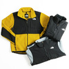 THE NORTH FACE DENALI2 JACKET画像