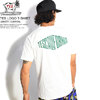 The Endless Summer TES LOGO T-SHIRT -WHITE×GREEN- NV-1574312画像