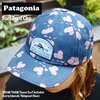 patagonia 23SS Surf Trad Cap 38360画像