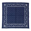 WAREHOUSE Lot 5227 SELVEDGE INDIGO BANDANA D柄(SQUARE)画像