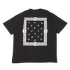 Carhartt S/S PAISLEY T-SHIRT Black / Wax I032439画像