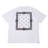 Carhartt S/S PAISLEY T-SHIRT White / Black I032439画像