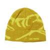 ARC'TERYX Grotto Toque Lampyre/Euphoria X000009253画像