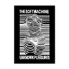 SOFTMACHINE PLEASURES POSTER画像