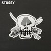 STUSSY FRESH FOILS STICKER画像