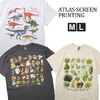 ATLAS SCREEN PRINTING プリントTシャツ ASP040001画像