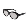 EVILACT GREYHOUND black / color photochromic smoke lens EAE24-19-01画像