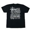 STUSSY CALIFORNIA GROWN TEE PIGMENT DYED画像