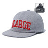 X-LARGE ARCH LOGO 3D EMB. CAP 101243051002画像