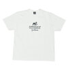 STUSSY SPORTSWEAR TEE画像