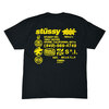 STUSSY DNA PIG.DYED TEE画像