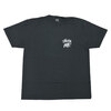 STUSSY RASTA LION PIG.DYED TEE画像