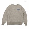 Buzz Rickson's FREEDOM SLEEVE SWEAT SHIRT - USAF - BR69455画像