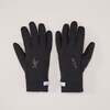 ARC'TERYX Venta Glove X00000749102画像