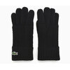 LACOSTE Jacquard Glove RV020J-99画像