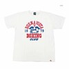 STUDIO D'ARTISAN USA COTTON PRINT T-SHIRT - BOXING - 8166A画像