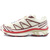 SALOMON XT-6 VANILLA ICE/GREEN HAZE/FIRED BRICK L47582300画像