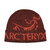 ARC'TERYX Bird Word Toque SEQUOIA/SOLARIS X000006644画像