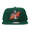 Mitchell & Ness SEATTLE SUPERSONICS BASIC SOLID LOGO SNAPBACK GREEN LVMNSSS017画像