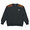 THE NORTH FACE Backmagic Hunting Crew Sweat NT62434R画像